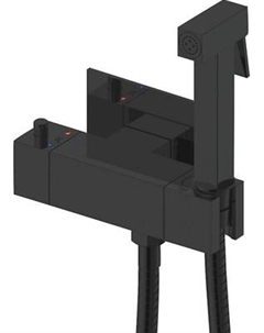 Гигиенический душ со смесителем Rose R965H