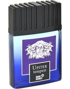 Туалетная вода Positive Parfum Upiter Tempest Positive parfum