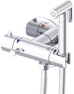 Гигиенический душ со смесителем Rose R915