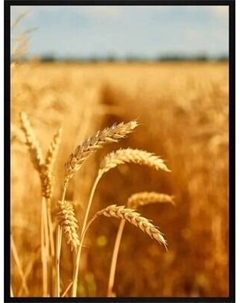 Постер Citydecor Природа 7