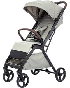 Детская прогулочная коляска Kidzi Breezy WG / KDZT602BG