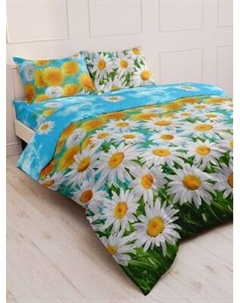 Пододеяльник Реноме Евро 210x226 Шуя 207581