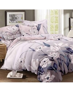 Комплект постельного белья Alleri Эко Сатин 1.5сп / СС-556