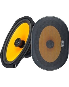 Коаксиальная АС Skylor E69