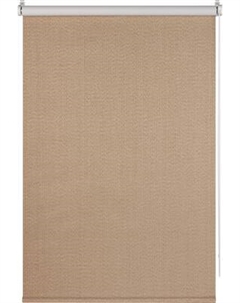 Рулонная штора Franc Gardiner Blackout Dublin 60x160 / 7799897 Franc gardiner