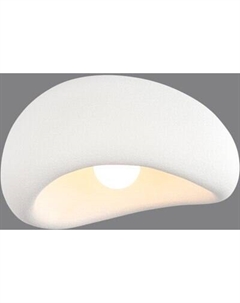 Потолочный светильник ST Luce SL1522.502.01 St luce