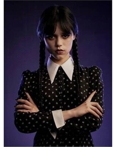 Постер Citydecor Wednesday 3