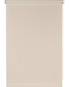 Рулонная штора Easy 50x160 / 7790016 Franc gardiner