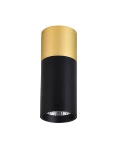 Потолочный светильник FAVOURITE 3074-1C Favourite