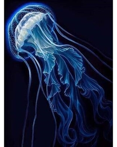 Картина по номерам Молли Красивая медуза 40x50 / FHR0584 Molli