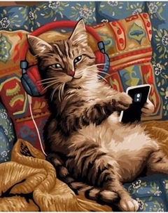 Картина по номерам Кот-меломан / H196 Ilikegift