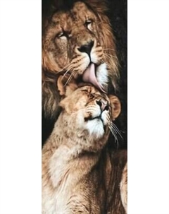 Картина по номерам Молли Львиная любовь 35x88 / HRP0172 Molli