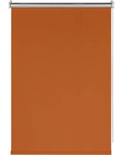 Рулонная штора Franc Gardiner Blackout Silver 70x160 / 7794823 Franc gardiner