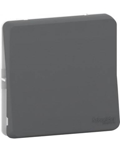 Выключатель Schneider Electric Mureva Styl MUR35020 Schneider electric