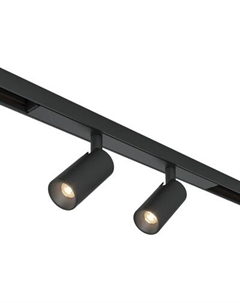 Трековый светильник Maytoni TR176-1-2X3WTW-M-B