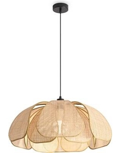 Потолочный светильник Freya Cocoon FR5529PL-01B