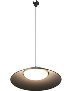 Светильник уличный Maytoni Campana O-TR01-1-P-12WB3K