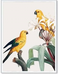 Постер Citydecor Попугайчики 1