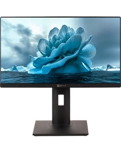 Моноблок Тесла P27BPQ / 2416500 Tesla