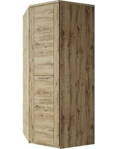 Шкаф Anrex Doorset угловой 1DG