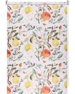 Рулонная штора Franc Gardiner Print Фрукты 75x160 / 9403217891 Franc gardiner