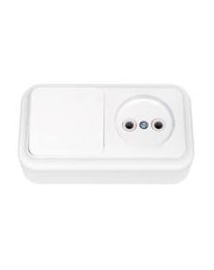 Блок выключатель+розетка Пралеска В-РЦ-521 / 210091 Bylectrica