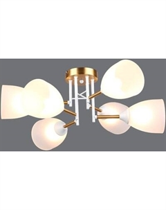 Потолочный светильник Mirastyle SX-N-2216/6 WT+COP