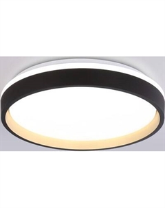 Потолочный светильник Ambrella Orbital FZ604 BK/GD