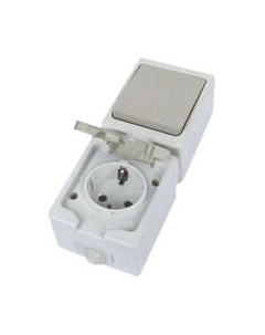 Блок выключатель+розетка TDM Вуокса SQ1803-0011 Tdm