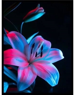 Постер Citydecor Цветы 3