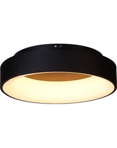 Потолочный светильник MyFar Shannon MR2193-1PL Myfar