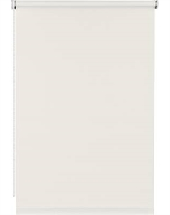 Рулонная штора Easy 60x160 / 8315266 Franc gardiner