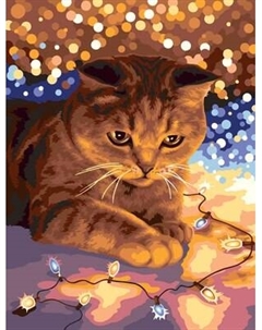 Картина по номерам Фрея Котик с огоньками / PNB/PMDD-188 Freya