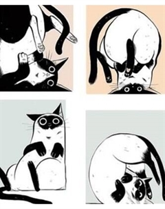 Картина по номерам ILikeGift Мемчики. Неуклюжая кошка / HR0676 Ilikegift