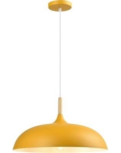 Потолочный светильник Moderli Hygo V11450-1P