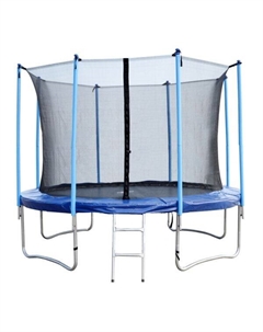 Батут Bebon 12472S2NL (12 футов, 366 см) c внутренней сеткой безопасности и лестницей Bebon sports