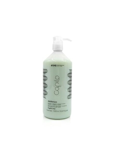 Шампунь для жирной кожи головы и сухих волос Capilo Ekilibrium Shampoo N.09 1000 Eva professional hair care
