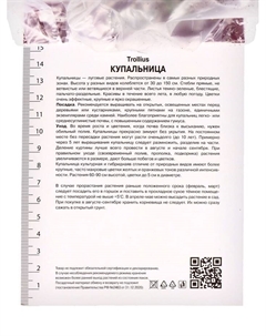 Купальница китайская, р-р I, 1 шт. Поиск