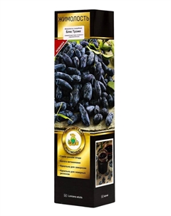 Жимолость съедобная Люкс «Блю Трэже», саженец, плодовый, 1 шт., туба Поиск