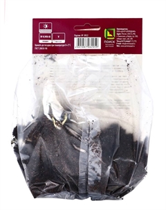 Бадан гибридный «Бэби Долл », 1 шт., р-р I, Осень 2025 Поиск