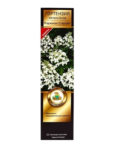 Гортензия метельчатая Люкс «Мэджикал Старлайт», саженец декоративный, цветущий, 1 шт., туба Поиск