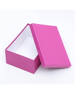 Набор коробок 10 в 1 «Пантон 230», 30.5×20×13 - 12×6.5×4 см Upak land