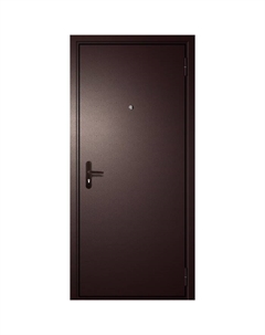 Входная дверь «. ДМ 1», 2050×960 мм, левая, цвет антик медь/антик медь Двери гуд