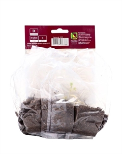 Аквилегия обыкновенная Винки Дабл Ред энд Вайт, корневище в торфогрунте, р-р I, 1 шт. Поиск