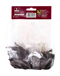 Лапчатка непальская «Рон Мак Бис», р-р I, 1 шт., Осень 2025 Поиск