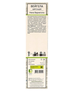 Вейгела цветущая «Нана Вариегата», саженец, туба, 1 шт. Поиск