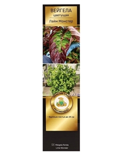 Вейгела цветущая Люкс «Лайм Монстер», саженец, туба, 1 шт. Поиск