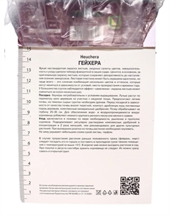 Гейхера (Хеухера) кроваво-красная Корал Форест, корневище в пакете с торфогрунтом, р-р I, 1 шт. Поиск