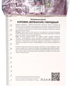 Коровяк (Вербаскум) гибридный «Пинк Домино», корневище в пакете с торфогрунтом, р-р I, 1 шт. Поиск