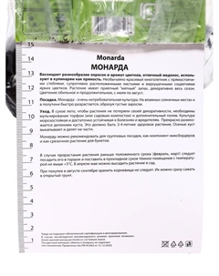 Монарда гибридная «Гадэнвью Скарлет», корневище в пакете с торфогрунтом, 1 шт., р-р l Поиск